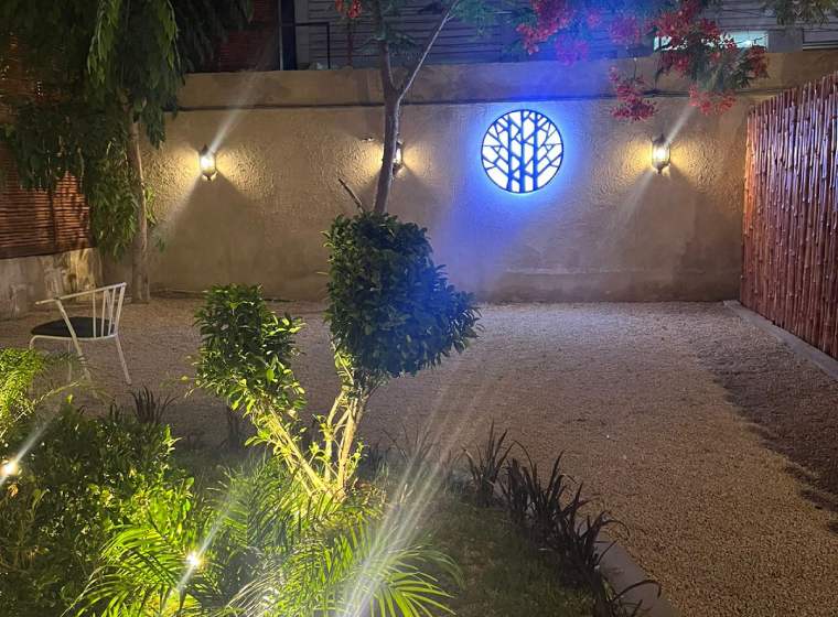 Fried fish with sauce