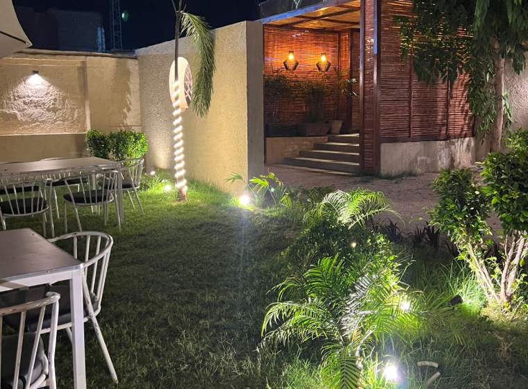 Fried fish with sauce